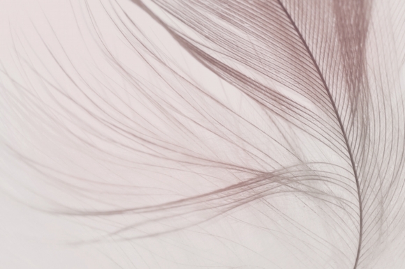 Hyper-sensitive skin prone to allergies